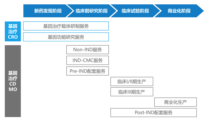 下配图之基因治疗CXO.png